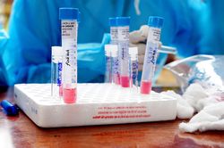 Thêm 8 ca mắc mới bệnh COVID-19, chủ yếu nhập cảnh về từ Nga