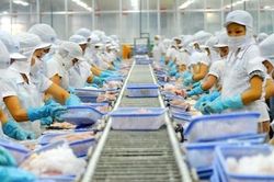 Dự kiến xuất khẩu hàng hóa của Việt Nam cả năm 2020 có thể tăng từ 3-4%