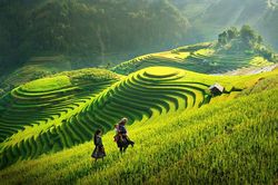 Một ngày lên rẫy