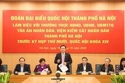 Sớm đưa tuyến đường sắt đô thị Cát Linh- Hà Đông vào vận hành