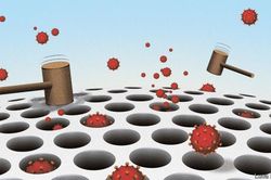 Vì sao nhiều chính phủ nhận định sai lầm về Covid-19