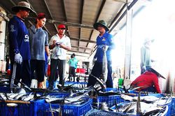 Nha Trang: Sản lượng thủy sản đạt 50.695 tấn