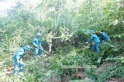 Tập trung làm tốt công tác bảo vệ, phát triển rừng