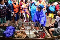 Hình ảnh chạy lũ của người dân Quảng Bình, Hà Tĩnh