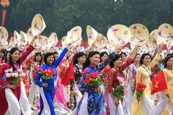 Rực rỡ 'những bông hồng vàng'