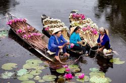 Góc nhìn 365: Khởi nghiệp sau lũ
