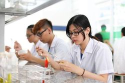 ĐH Y Hà Nội sẵn sàng cử chuyên gia y tế về vùng lũ để khám chữa bệnh