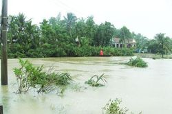 Khánh Hòa tập trung ứng phó mưa bão
