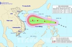 Theo dõi chặt chẽ diễn biến bão số 8 để chủ động ứng phó