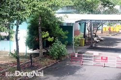 Theo dõi sát diễn biến của bệnh nhân Covid-19 là chuyên gia người Ấn Độ