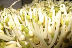 Rùng mình những rau củ 'tẩm' hóa chất 'kịch độc' nhiều người vô tư ăn