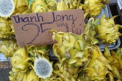 'Hãi hùng' sự thật loại thanh long vàng bán rẻ đầy đường