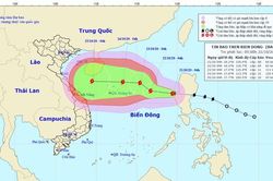 Dự báo thời tiết ngày 21/10: Diễn biến mới của bão số 8 - Saudel