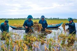 Cà Mau hạn chế các hoạt động chưa cần thiết tập trung khắc phục thiên tai