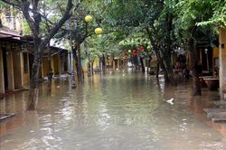 Quảng Nam tập trung triển khai công tác ứng phó với bão số 8