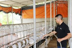 Học Bác phải xóa được đói nghèo