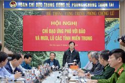 Tập trung cứu trợ, ứng phó với bão số 8