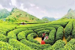 ''Sắc màu Sơn La'' giữa lòng Hà Nội