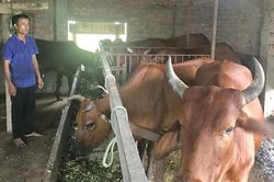 Trợ lực từ Quỹ Khuyến nông