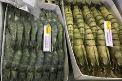 Xuất khẩu thủy sản có thể đạt 8,4 tỷ USD