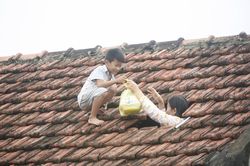 Dân đang cần gì khẩn cấp?