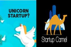 Chuyên gia Harvard: hậu COVID-19, start-up nên gác giấc mơ 'kì lân' để vận hành như lạc đà