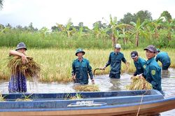 Cà Mau vận động hỗ trợ cho nông dân trong tỉnh và miền Trung