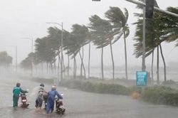 8 việc cần làm ngay để phòng chống dịch bệnh mùa mưa bão