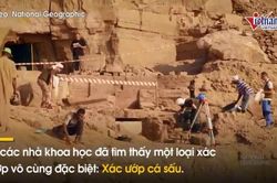 Bí ẩn xác ướp cá sấu trong lăng mộ hàng nghìn năm tuổi ở Ai Cập