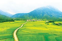 Đầm Hà (Quảng Ninh): Xa rồi những ngày gian khó…