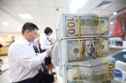 Tỷ giá ngoại tệ ngày 23/10: Đồng USD bất ngờ phục hồi từ đáy