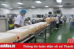 Chuyển dịch cơ cấu kinh tế gắn với mô hình tăng trưởng