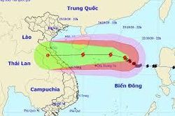 Gia Lai khẩn trương triển khai ứng phó bão số 8