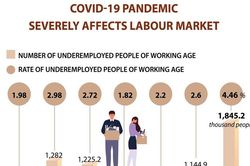 COVID-19 severely affects labour market