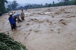 Dịch bệnh mùa mưa lũ - Khuyến cáo phòng bệnh từ Bộ Y tế