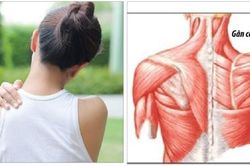 Ngừa chấn thương vai và cánh tay khi tập luyện