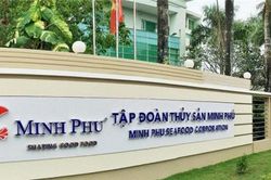 Nguy cơ vua tôm Minh Phú bị áp thuế chống bán phán giá