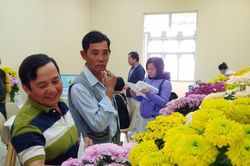 Triển lãm giống hoa cúc mới Hàn Quốc lần thứ 2