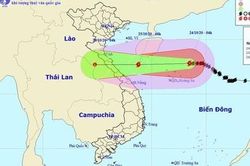 Từ Hà Tĩnh đến Quảng Trị ảnh hưởng bão số 8 nhiều nhất vào 2 ngày cuối tuần
