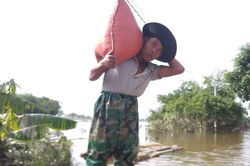 Lũ chưa rút hết, dân Hà Tĩnh lại lo chuyển đồ tránh bão số 8