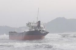 Cứu 10 thuyền viên trên tàu hàng bị nạn