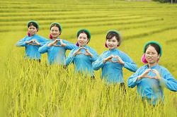 Quảng Ninh: Khai mạc lễ hội văn hóa, thể thao dân tộc Sán Chỉ - Mùa vàng vùng cao Đại Dực