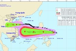 Bão số 8 cách Hà Tĩnh - Quảng Trị 330km, bão số 9 tiến vào Biển Đông