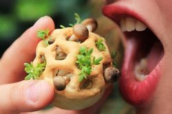 Nghe tưởng chuyện viễn tưởng: Đây là những gì con người sẽ ăn trong tương lai