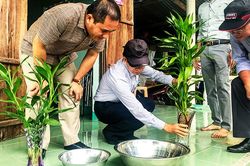 Ninh Hòa: Quyết liệt phòng, chống sốt xuất huyết