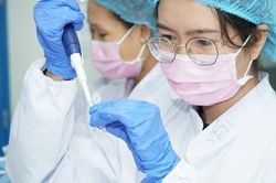 Quảng Ngãi: Hơn 130 học sinh được nghỉ học để phòng bệnh bạch hầu