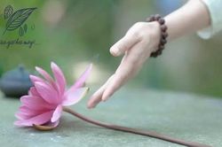 Chỉ khi bỏ được điều này bạn mới có thể sống thanh thản