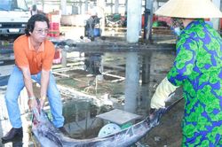 Ngư dân làm thương lái quốc tế