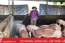 Tăng khả năng phòng vệ trước dịch tả lợn châu Phi ở huyện miền núi Hà Tĩnh