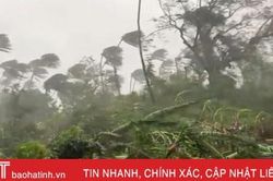 12 ngư dân mất tích sau khi bão Molave đổ bộ Philippines